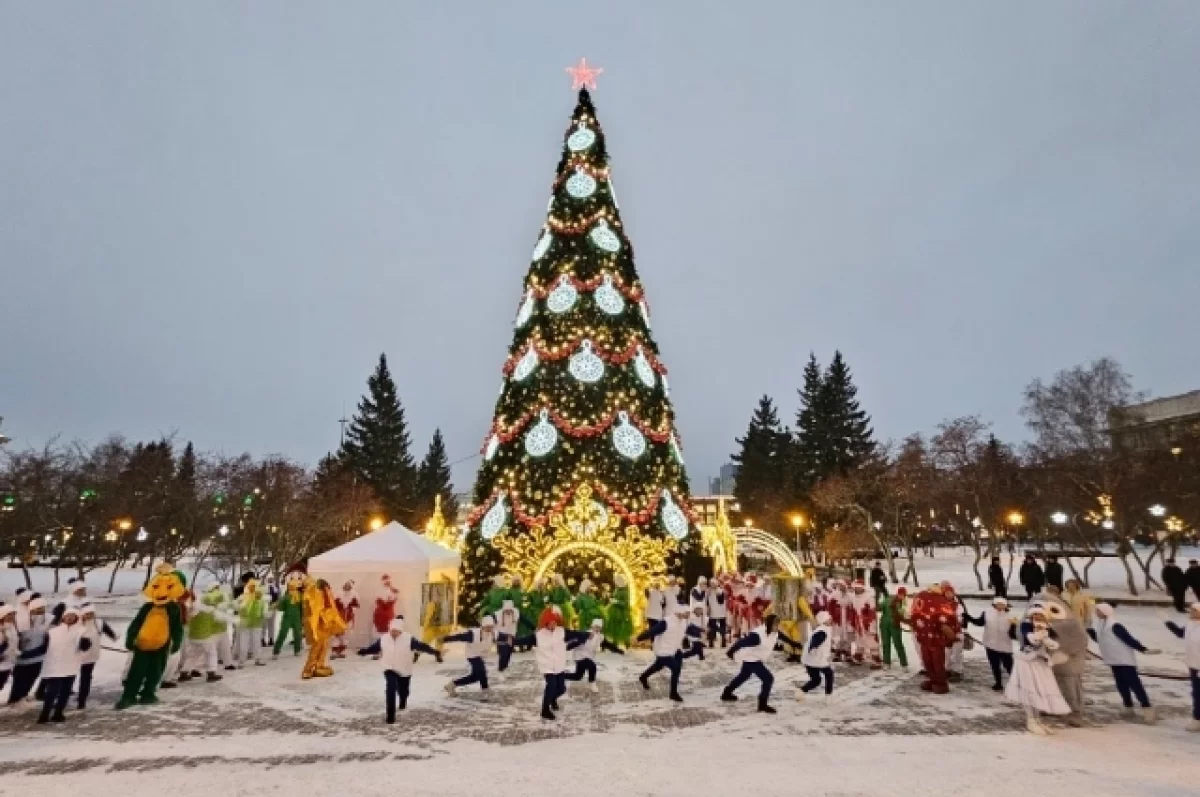 Новосибирцы будут отдыхать 11 дней подряд на Новый год