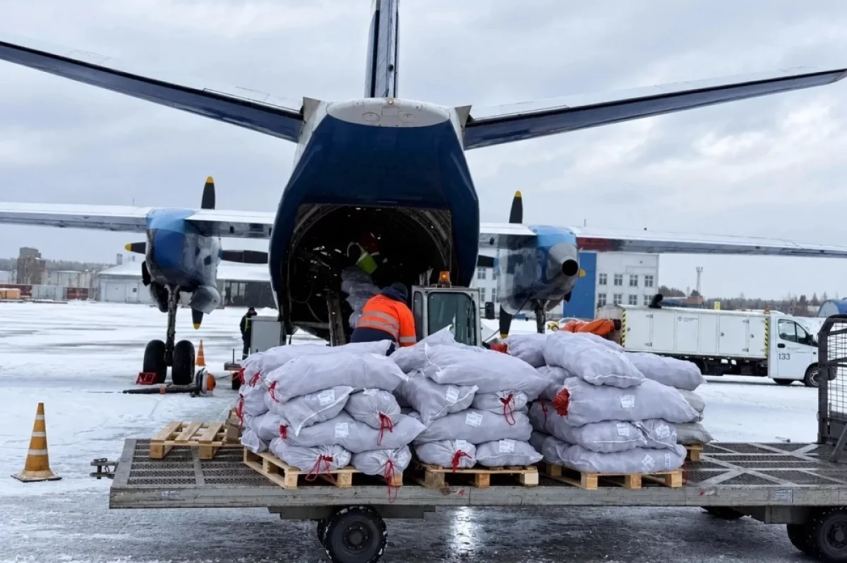 Более 7 тонн продуктов завезли в Эвенкию двумя чартерными рейсами