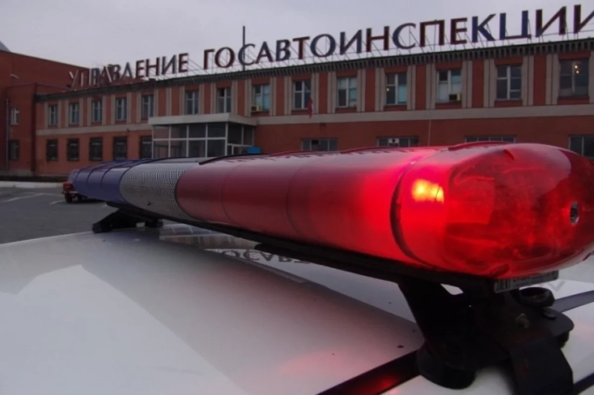 На трассе «Иртыш» в Курганской области в ДТП с косулей погиб человек