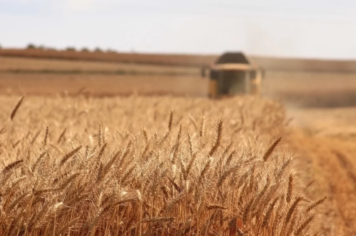 В Оренбурге предприниматель пытался похитить сельхозтехнику на 11 млн