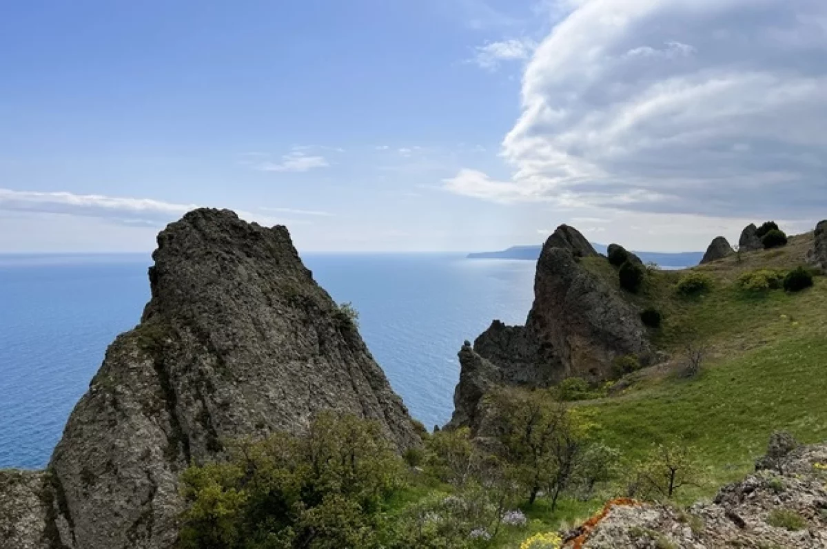 график подачи света, социальный бензин, транспорт