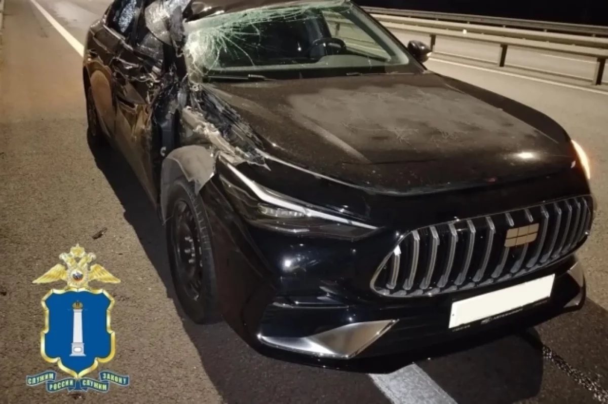 В Тереньгульском районе легковушка врезалась в КамАЗ: двое детей в больнице