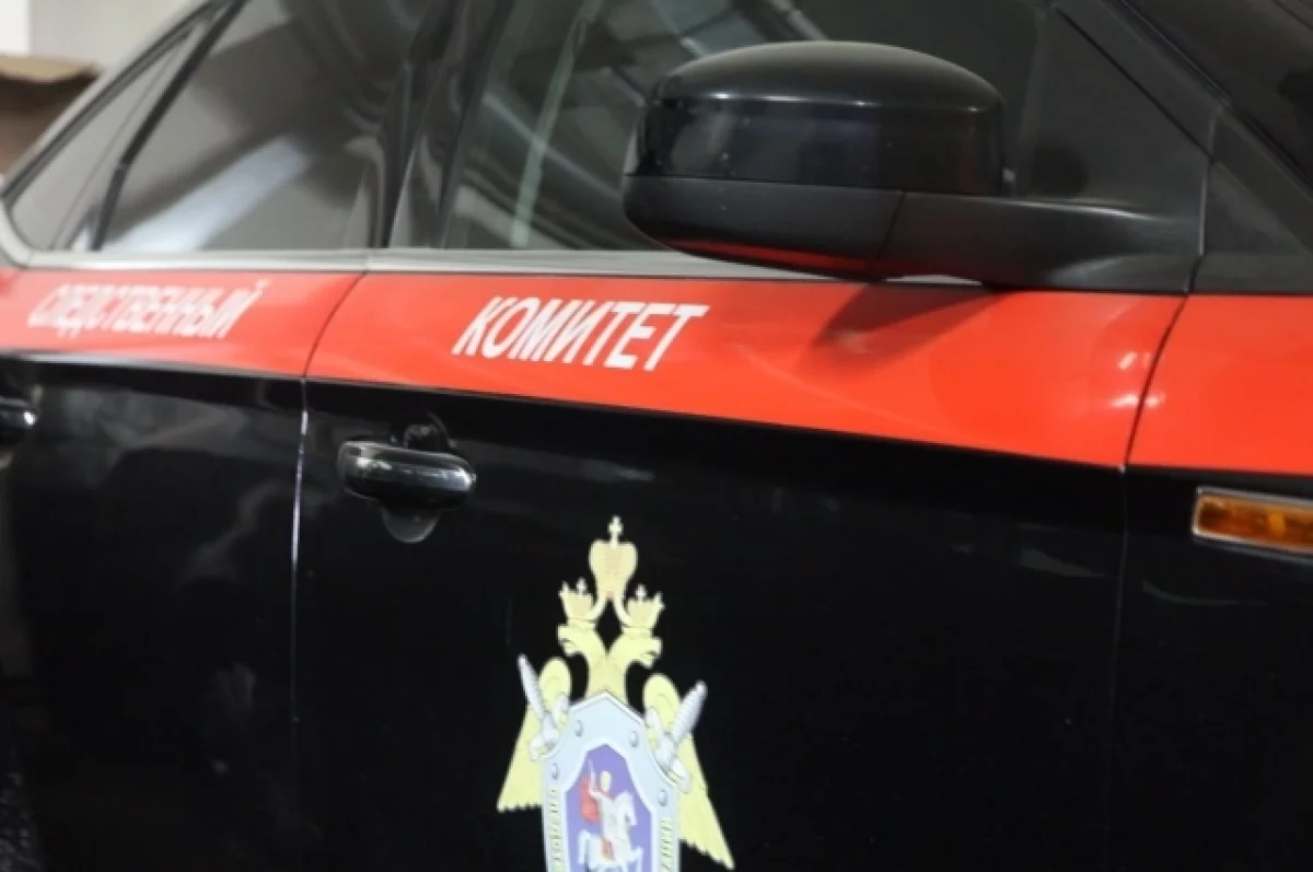 Женщину и ребёнка зверски убили в Красносельском районе