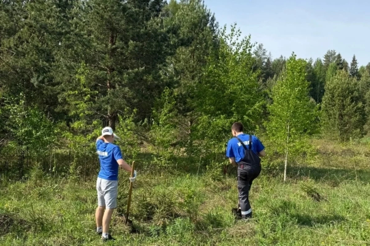 Совет молодёжи УЗПМ отмечен благодарственным письмом за вклад в экологию