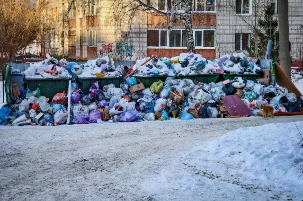 В Архангельске переполнились мусорные площадки