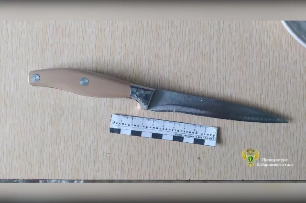 Калининградку будут судить за угрозы полицейским с кухонным ножом