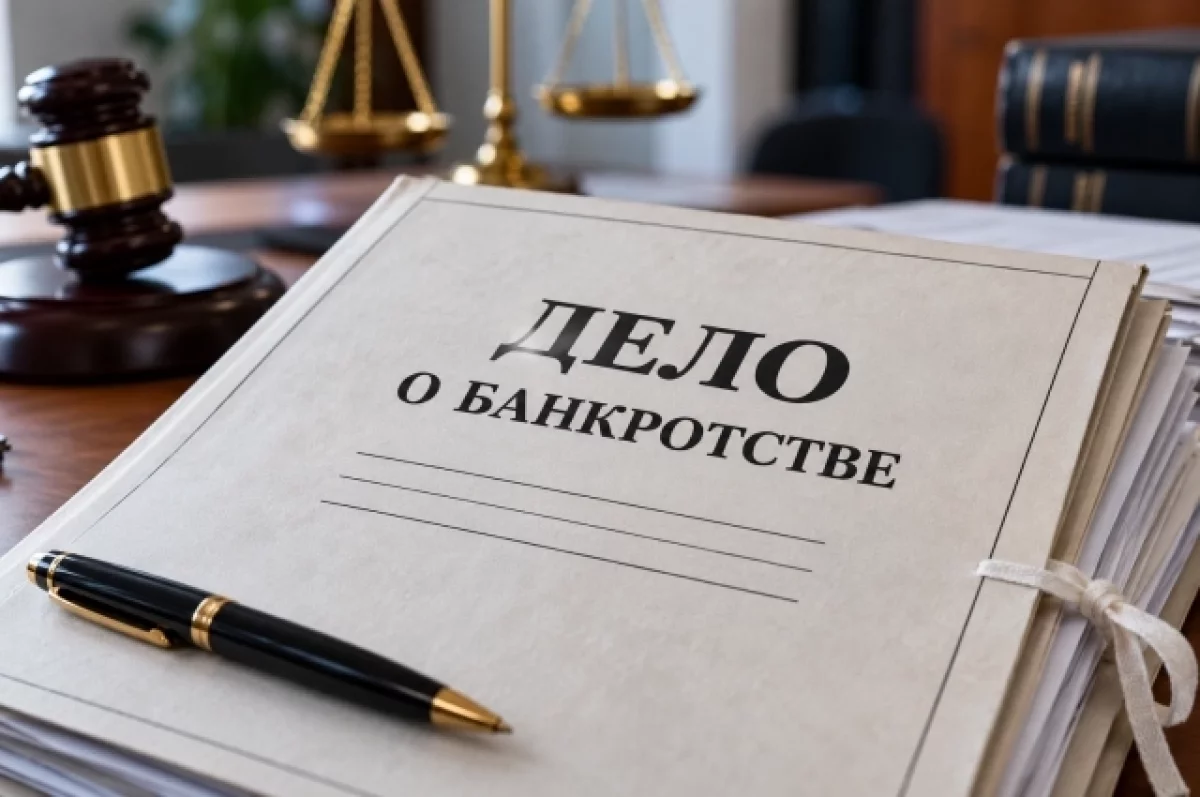 На Камчатке двум банкротам отказались списывать миллионные долги