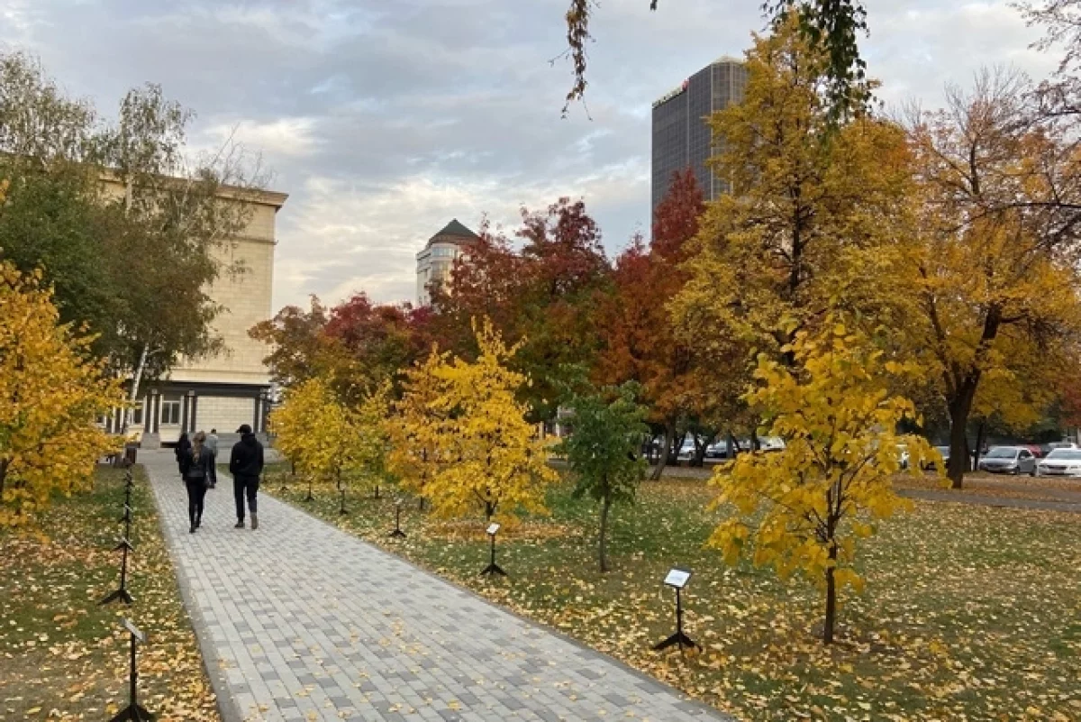 Погода, пробки, курс: главное в Новосибирске на 28 октября