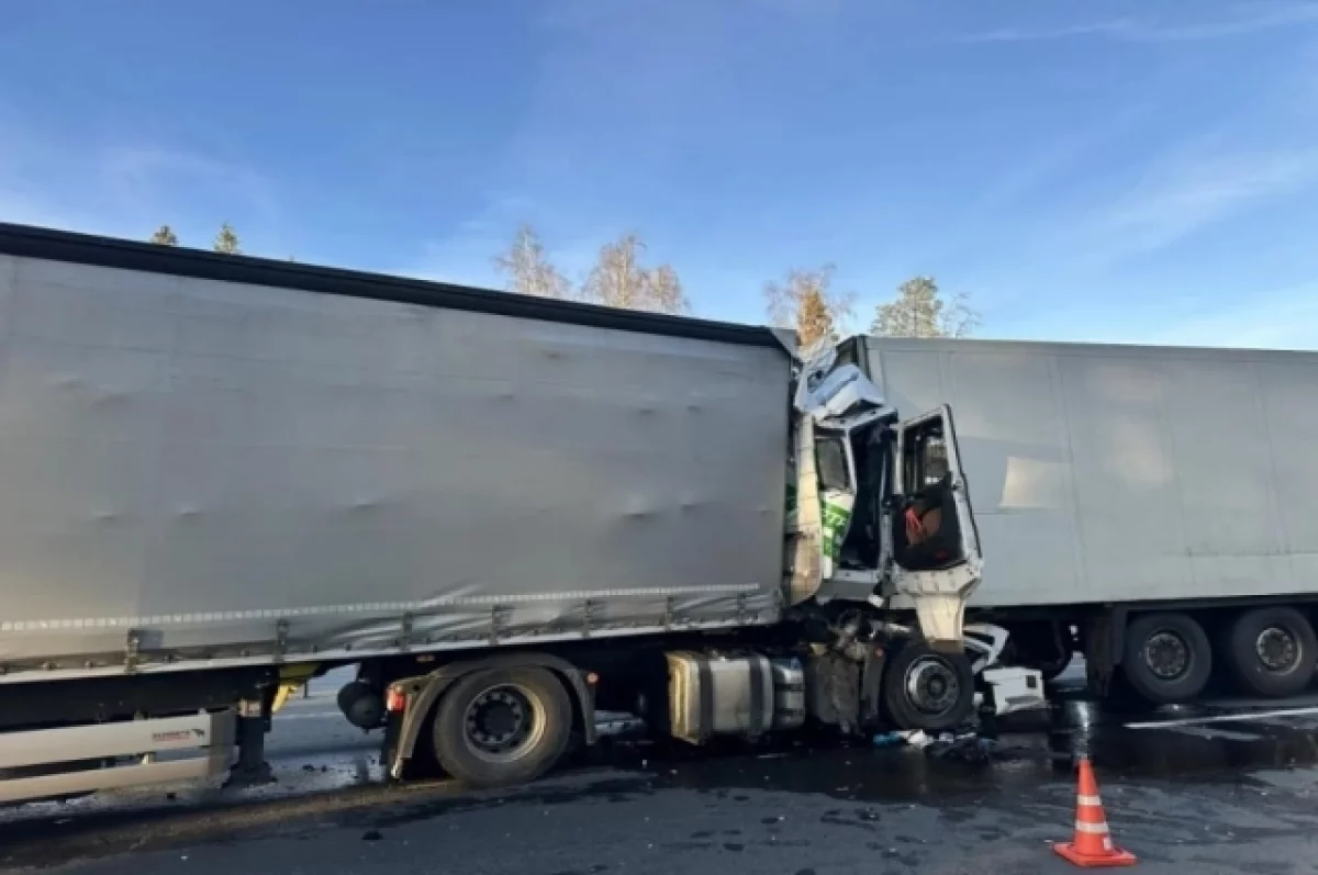 3 погибших, 44 раненых: во Владимирской области произошло 36 ДТП за неделю