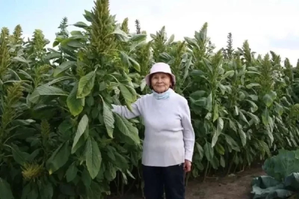 Забайкалка стала лучшей в фотоконкурсе «Женщина-фермер: Лица Земли»