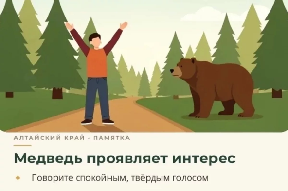 Жителям Алтая напомнили правила поведения при встрече с медведем