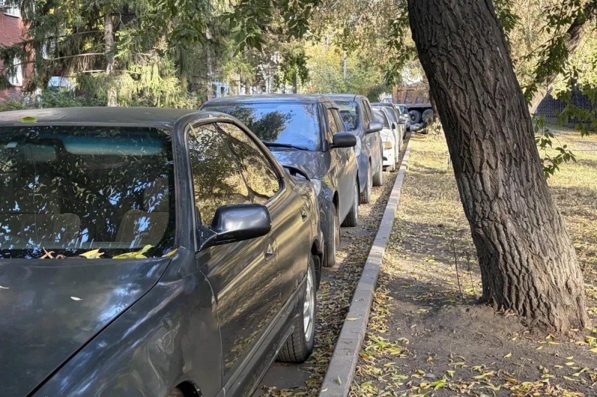 Стало известно, сколько стоят платные парковки в Омске