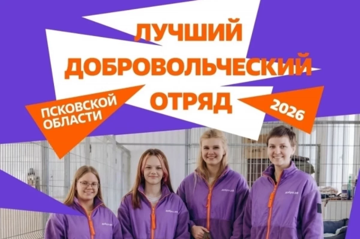 Юные псковичи сразятся за титул лучшего добровольческого отряда