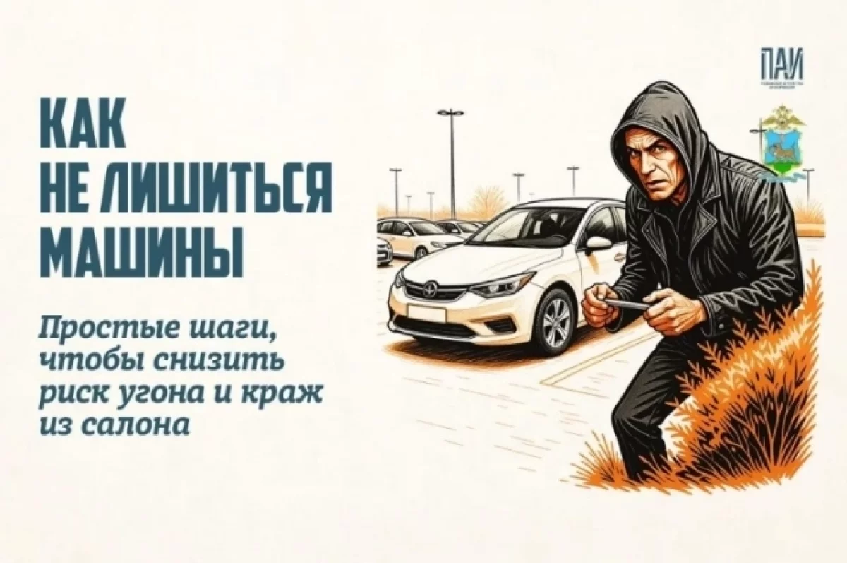 Псковичам объяснили, как уберечь автомобиль от угона