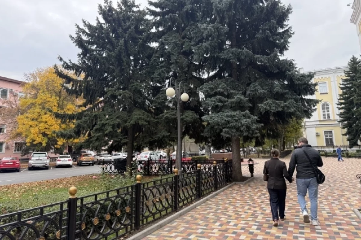 БПЛА, приговор за шпионаж, погоня