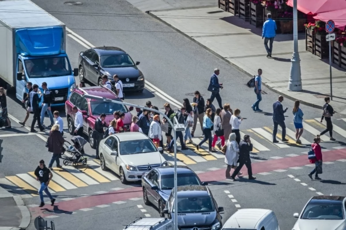 Почему в Петербурге стремительно растёт число ДТП