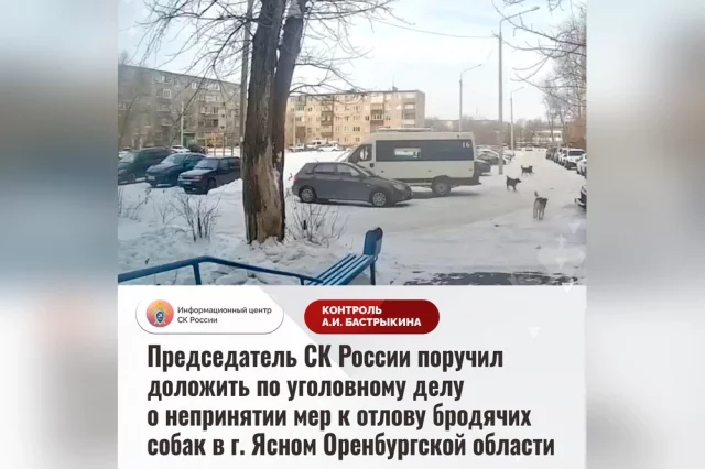 Уголовное дело расследуется следственным управлением СК по Оренбургской области с января 2026 года.