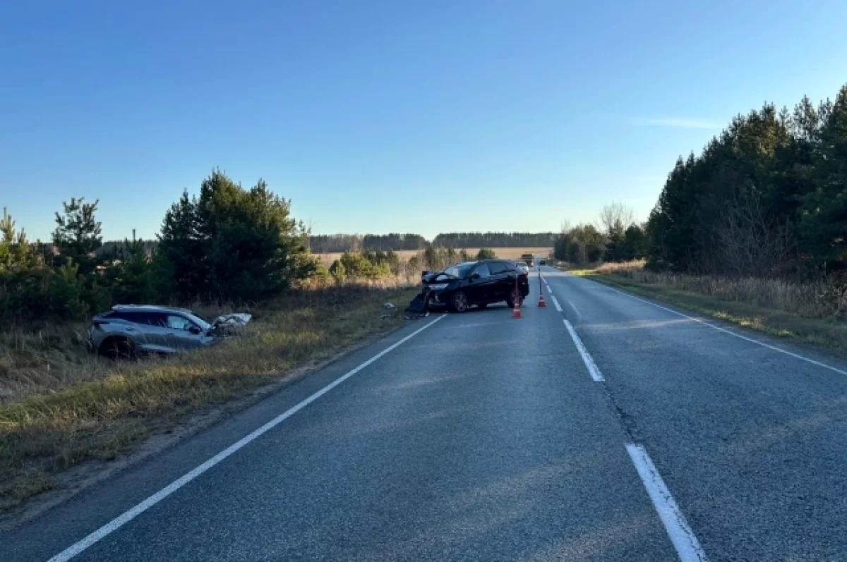 Две женщины и два ребёнка пострадали в жутком ДТП на трассе в Удмуртии