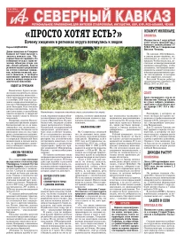 Просто хотят есть?