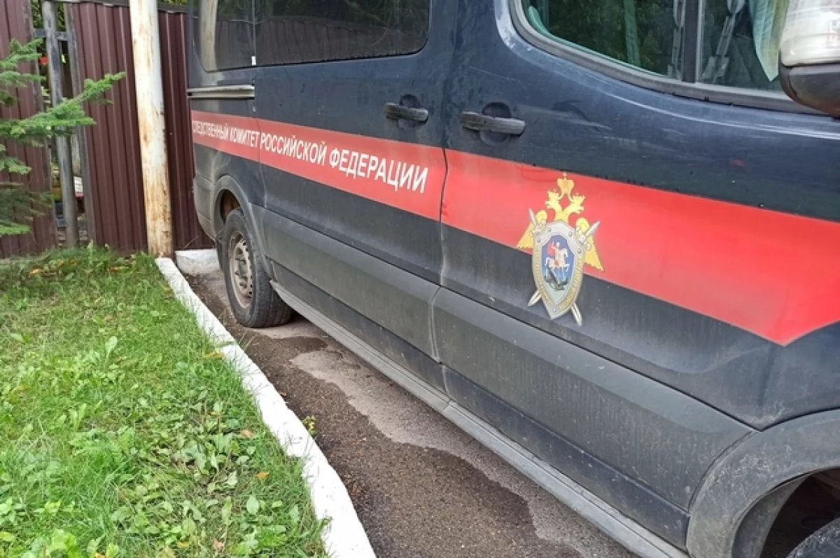 СК Башкирии возбудил дело после поджога школьницей АЗС и машины полиции