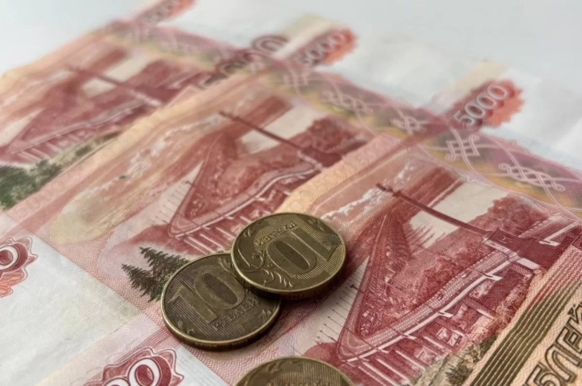 В рязанском бюджете предусмотрели 4 млрд рублей на поддержку участников СВО