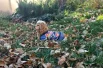 Все живые существа рады хорошей погоде.