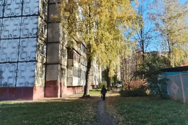Осень дарит жителям Черноземья прохладные, но солнечные деньки.