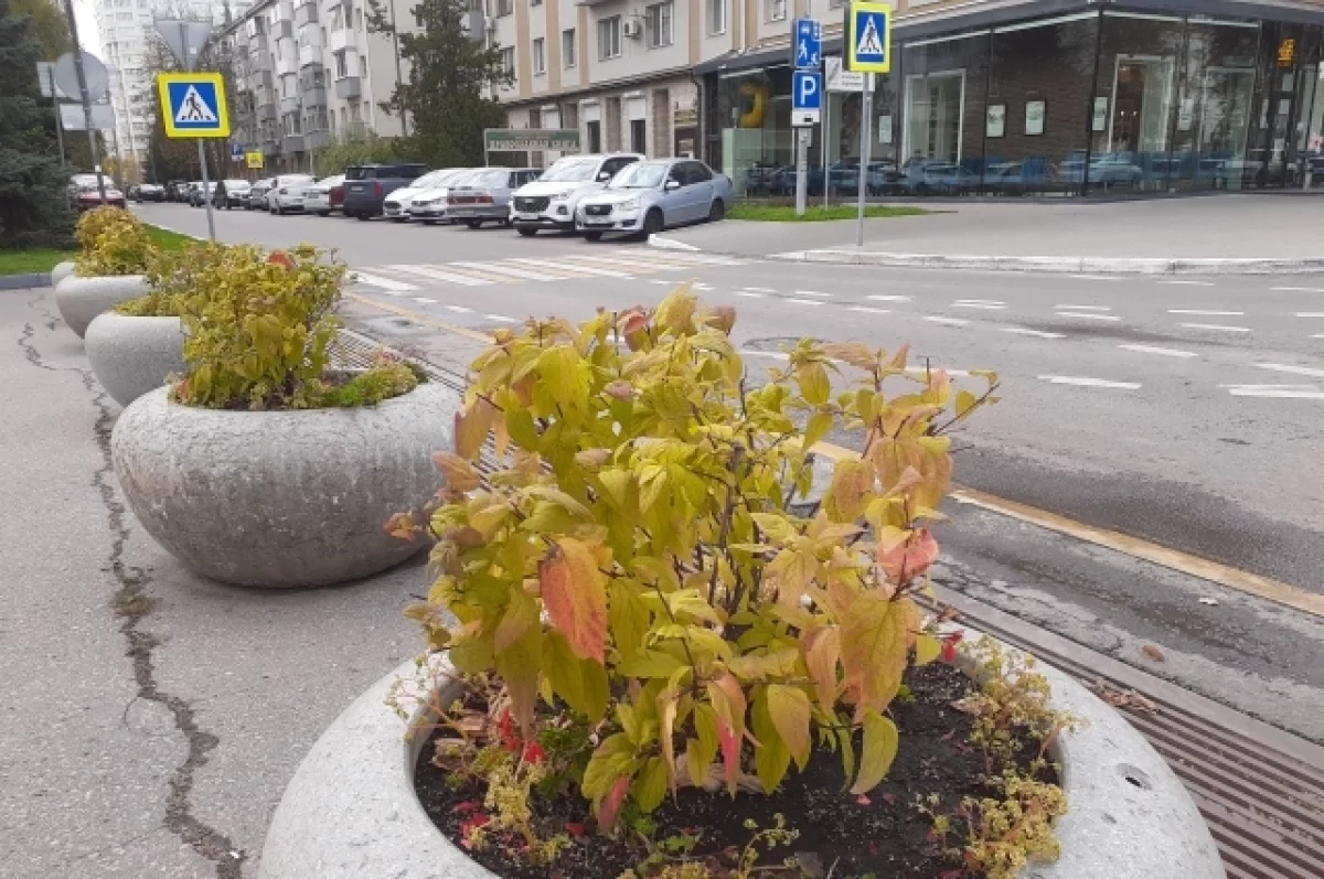 В четверг 29 октября на Белгородчине будет тепло, без существенных осадков