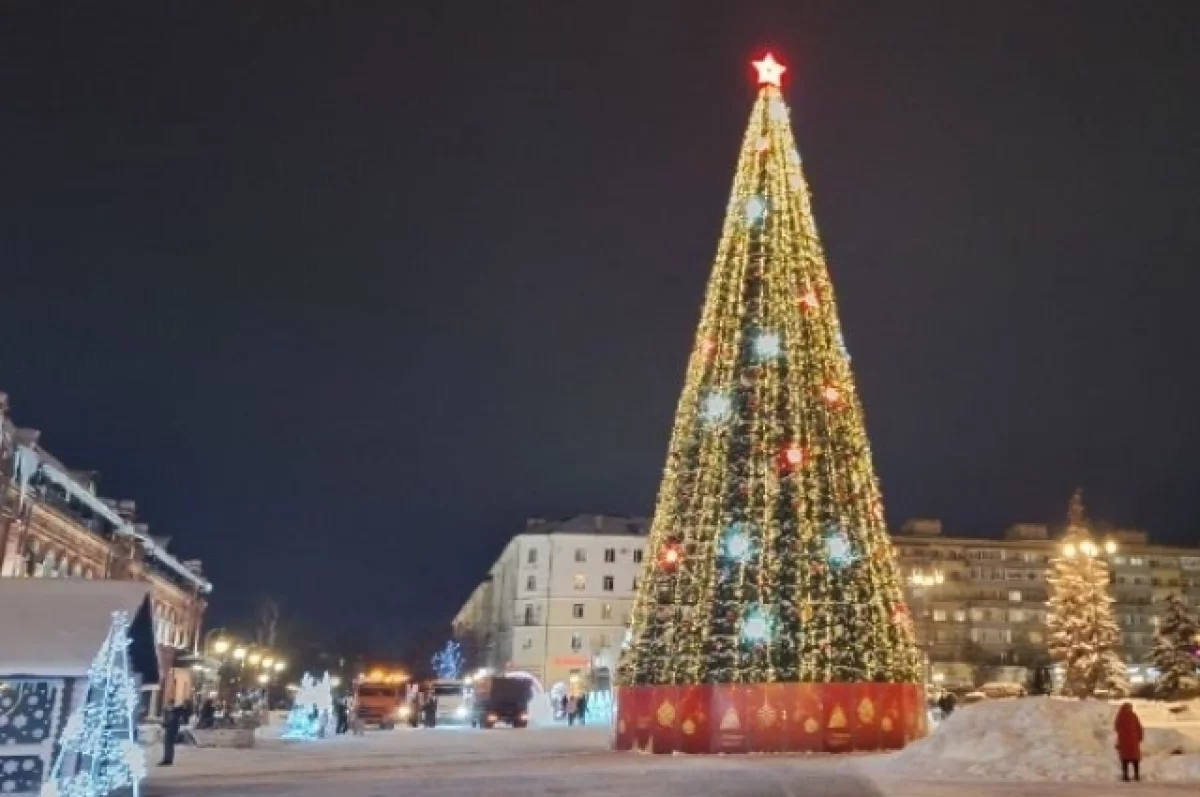В Пензе на улице Московской хотят устроить аллею из новогодних ёлок