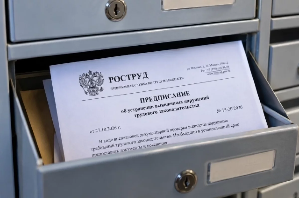 Камчатских работодателей атакуют мошенники под видом Роструда