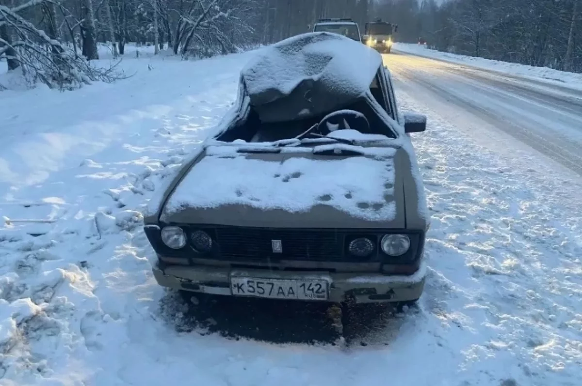 В Новокузнецком округе подросток пострадал в ДТП из‑за наезда на лося