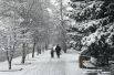 Привычный городской ритм немного замедлился.