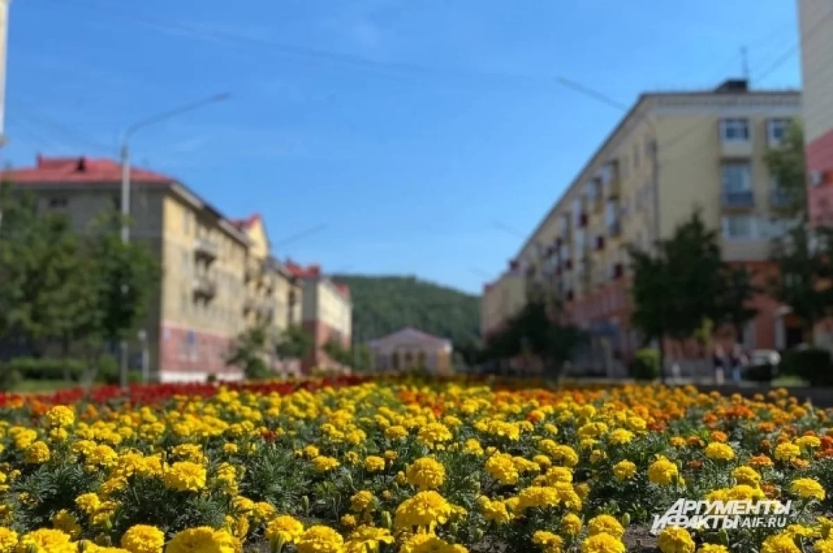 афиша мероприятий