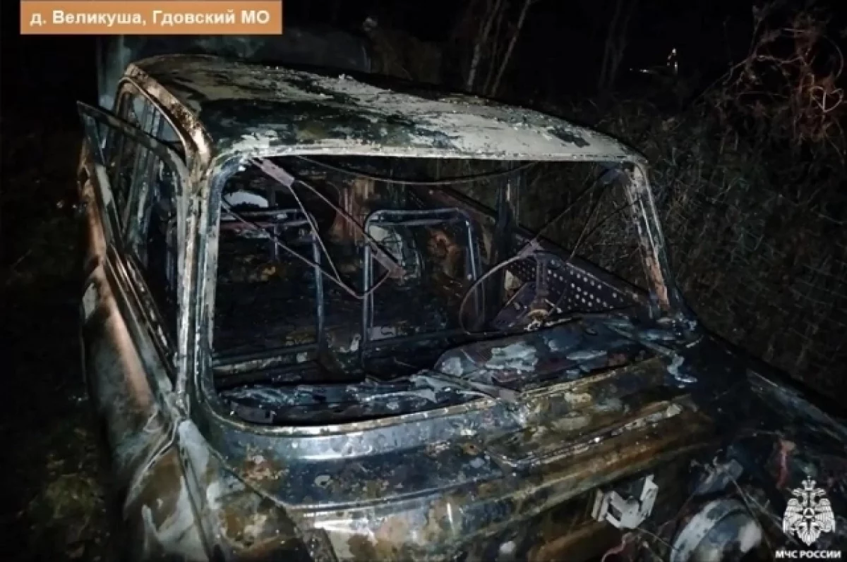 В Гдовском районе огонь уничтожил «Москвич»