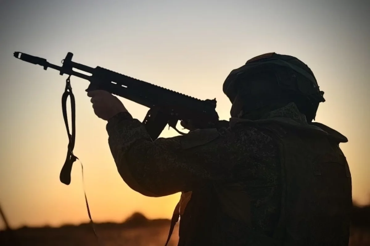 Боец со Ставрополья на СВО спас котёнка, и его выдвинули на Лохматый Оскар
