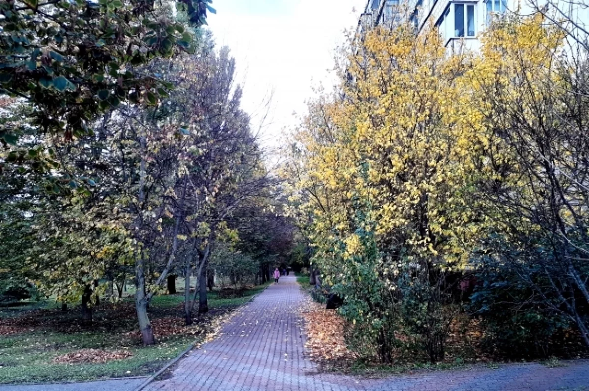 БПЛА ВСУ, жилье, погода, новогодние подарки