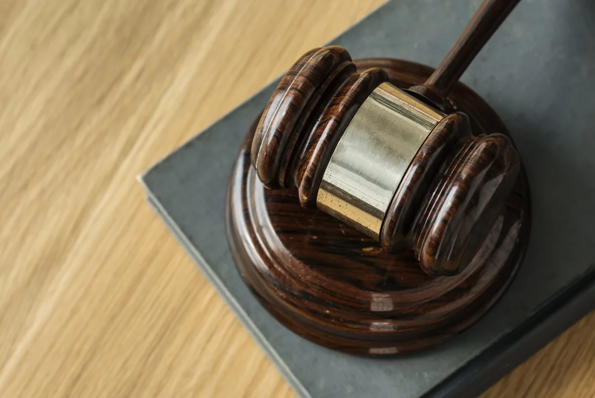 Суд взыскал 15 млн рублей с хозяина собак, напавших на ребенка в Сочи