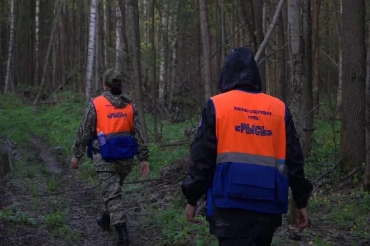 Пропавших 13-летних девочек нашли живыми в Нижегородской области