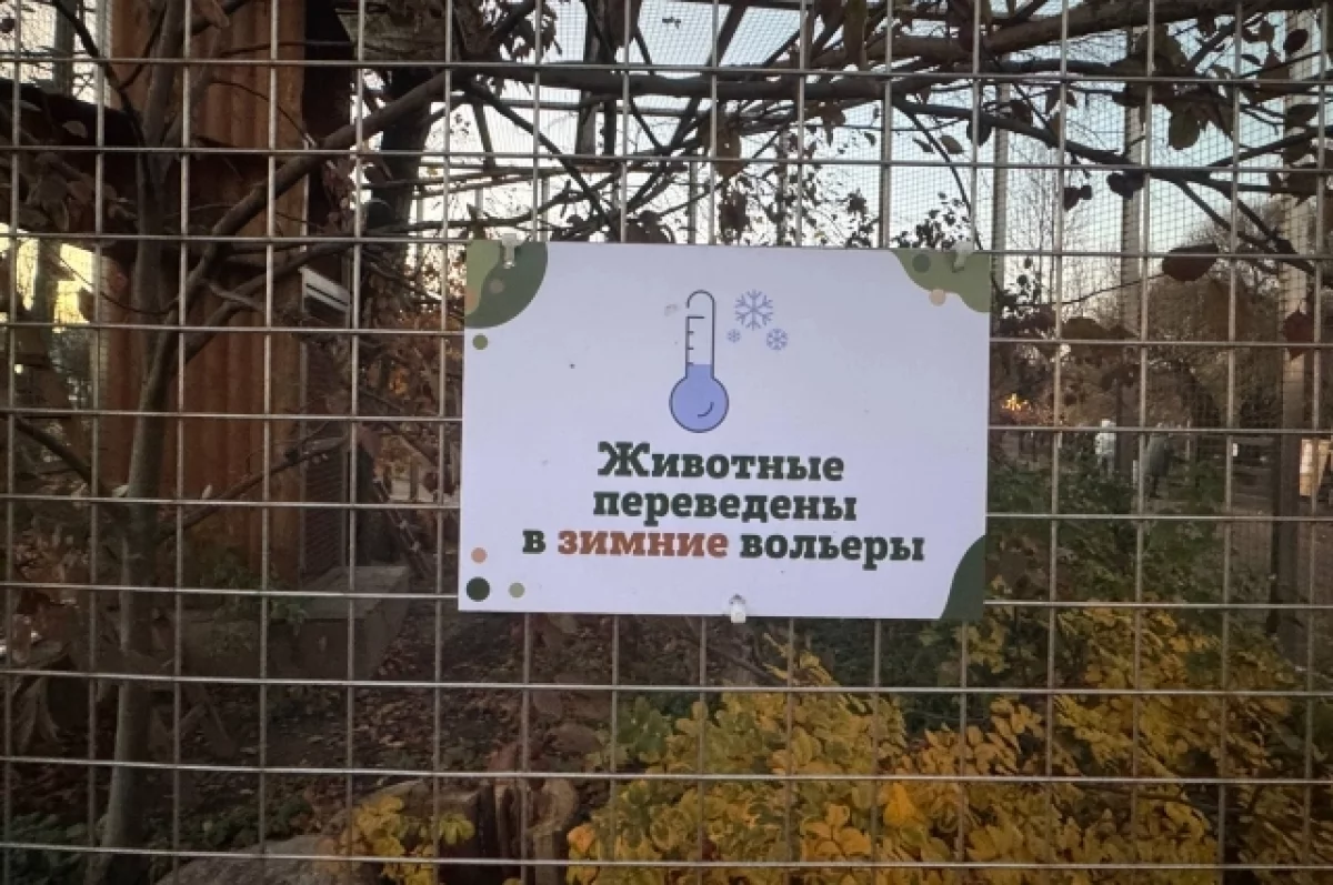 Как Ленинградский зоопарк в Петербурге прячет зверей от мороза