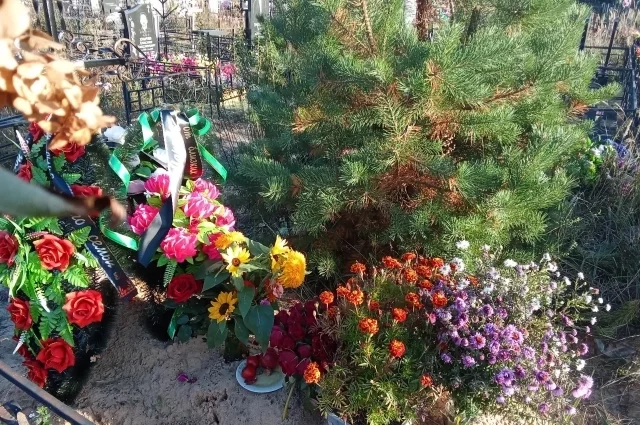 Собираясь на могилку к родным, возьмите с собой только живые цветы и Молитвослов и/или Псалтырь. 