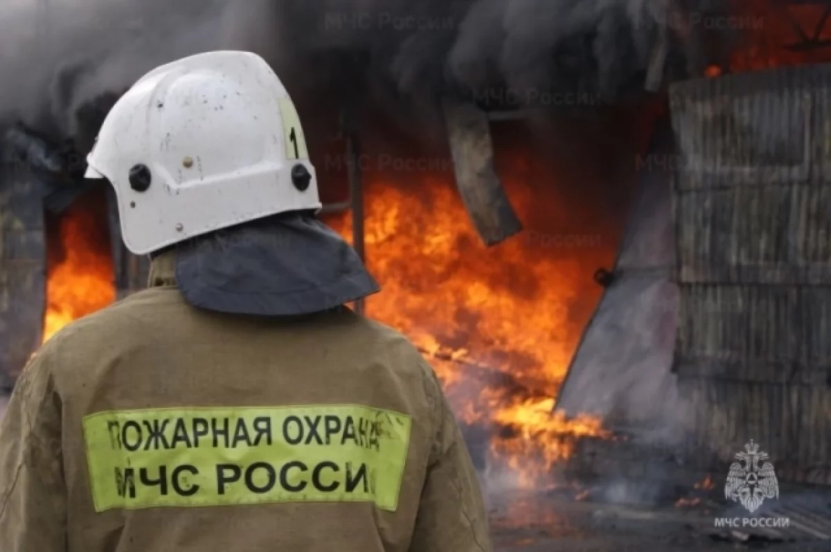 В Балтийске пожар уничтожил гараж и автомобиль