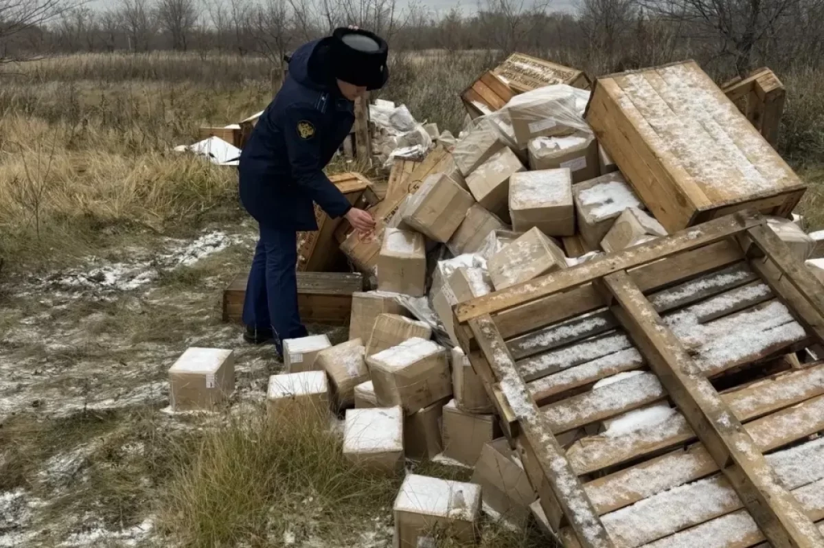 В Омске ликвидировали свалку просроченных опасных отходов у поселка