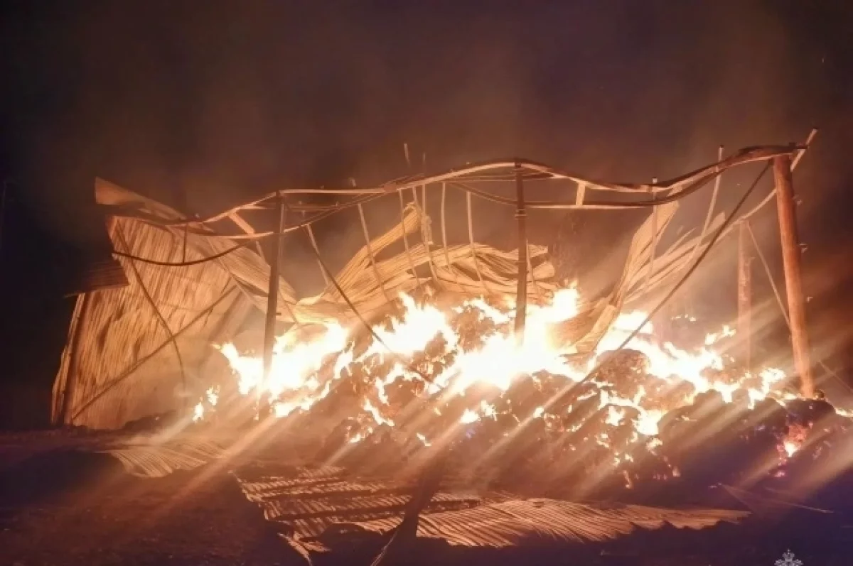 Склад с 250 тоннами сена сгорел в Удмуртии