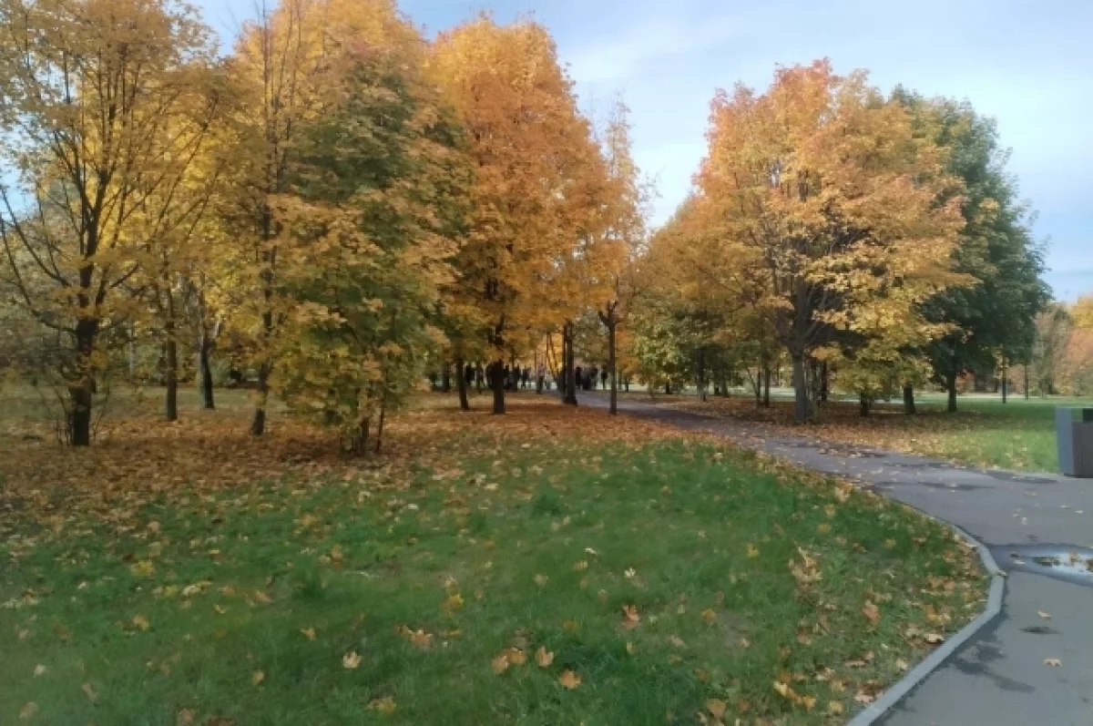 работа ПВО, опасный груз, дети-герои и погода