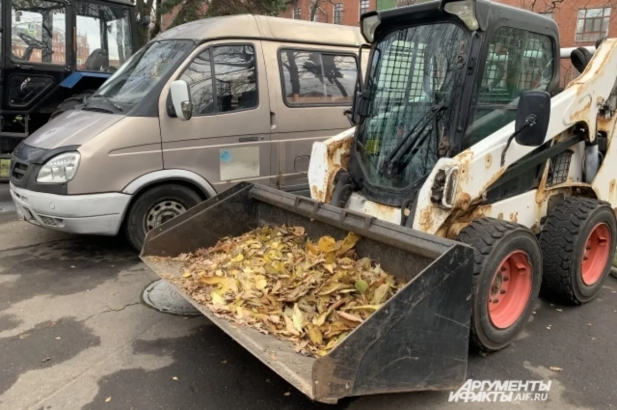 Почти тысяча работников участвовали в уборке и благоустройстве Вологды