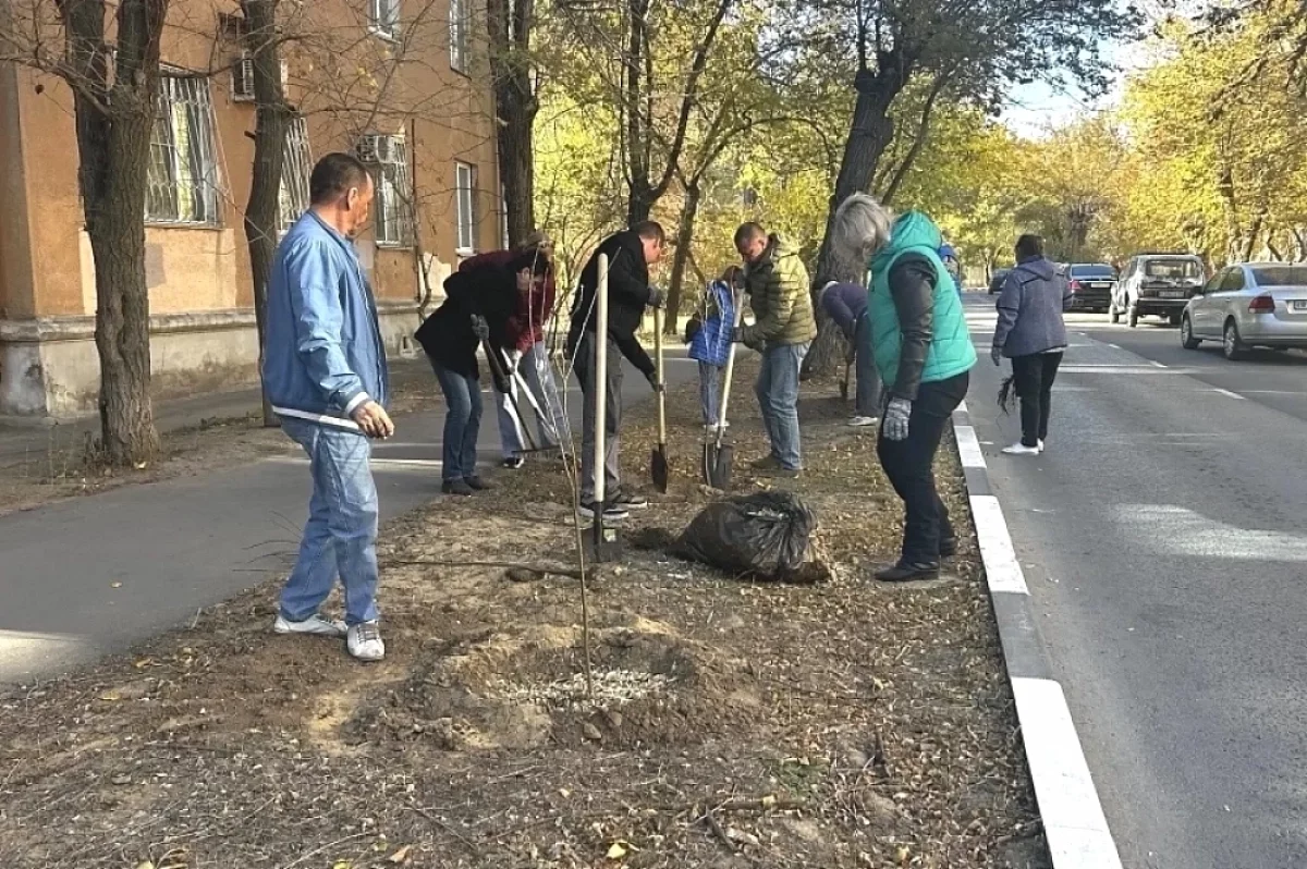Волжане вышли на масштабный субботник
