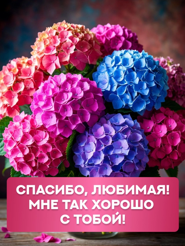  спасибо любимая открытка 