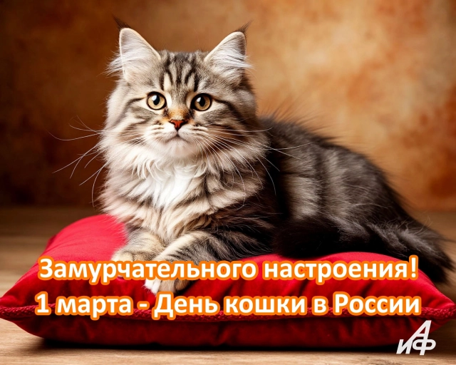 день кошки в России открытка