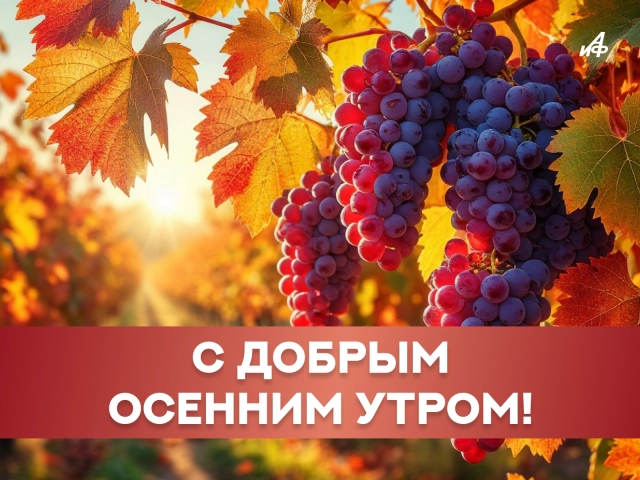 открытка с добрым осенним утром и хорошим днем
