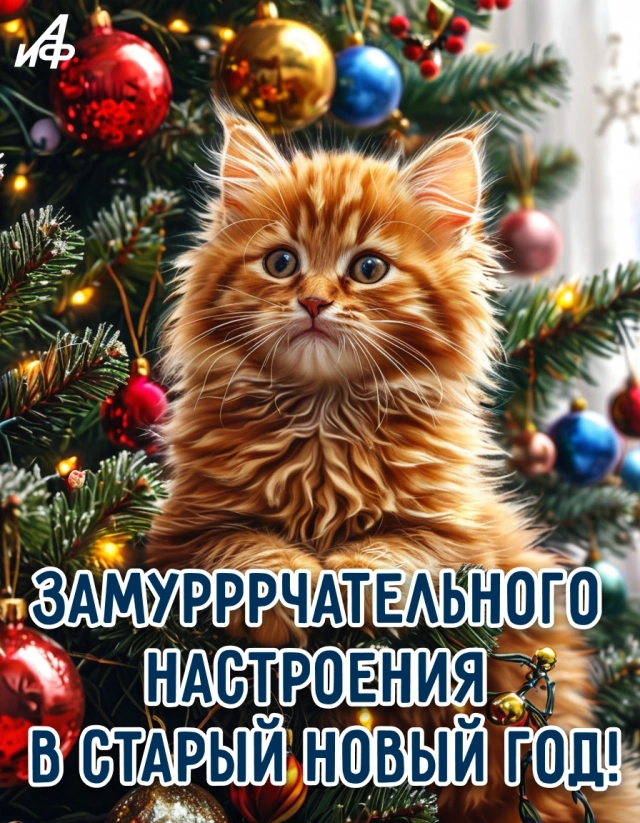 старый новый год открытка котик